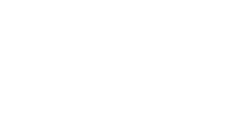 FS Logo 2020 Secondary Large 768x422